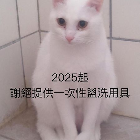 Appartement 貓居 Ocean House à Dahan Extérieur photo