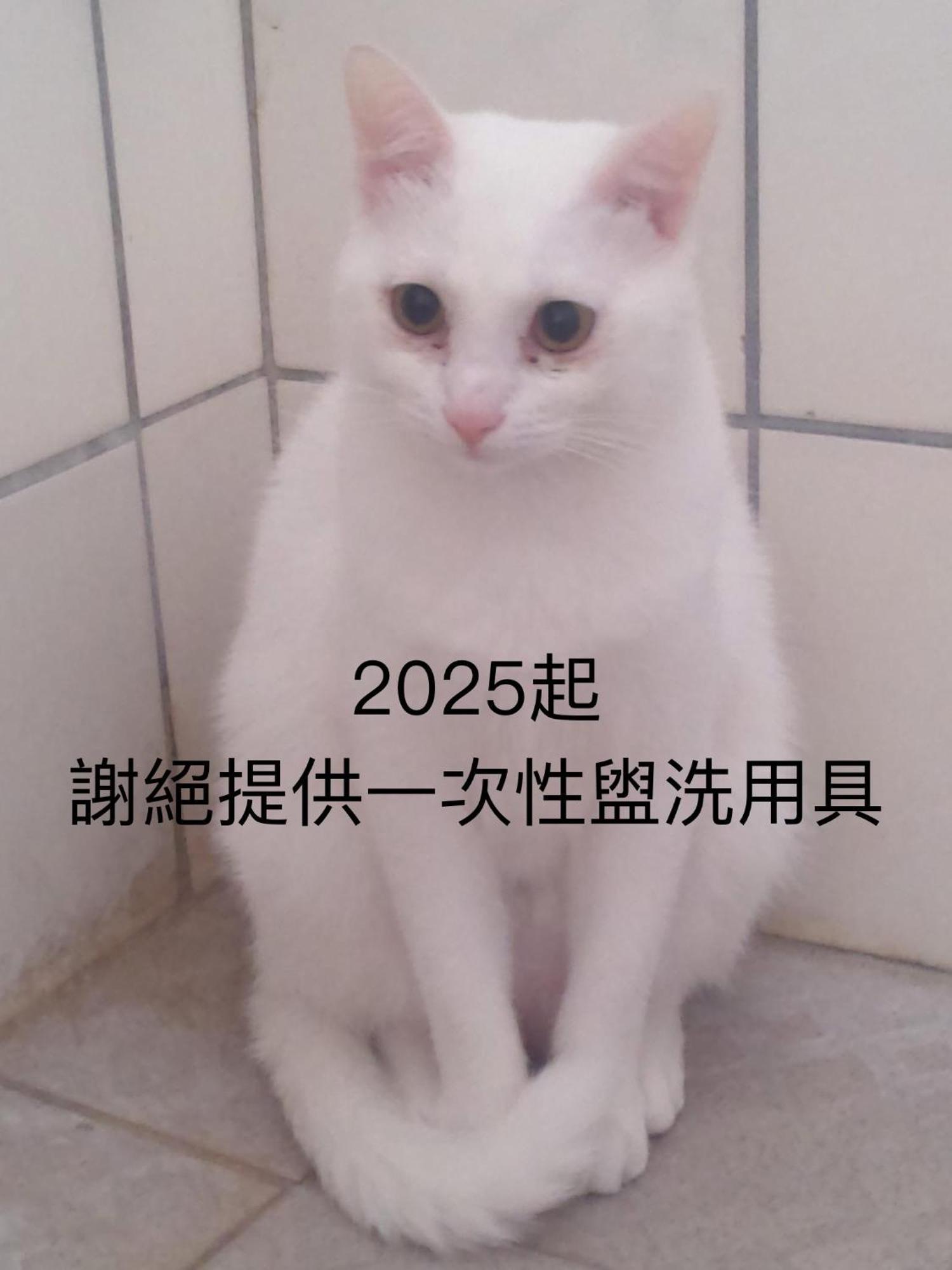 Appartement 貓居 Ocean House à Dahan Extérieur photo
